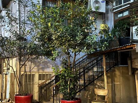 3-room apartment for rent, 85 m², Sahil: 950 ₼/mo 3