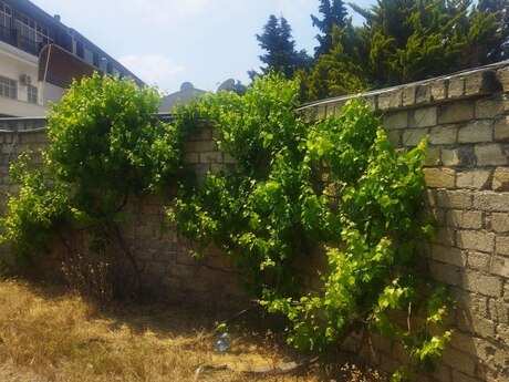 2 otaqlı həyət evi, 91 m², Şüvəlan: 340 000 ₼ 3