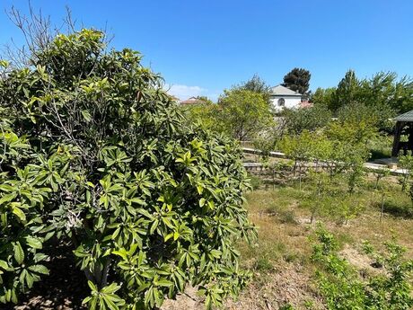 6 otaqlı həyət evi, 300 m², Novxanı: 355 000 ₼ 4