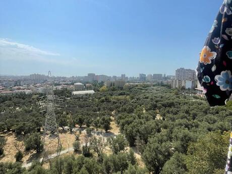 3 rooms · 80 m² · floor 8/9, 9-cu mikrorayon