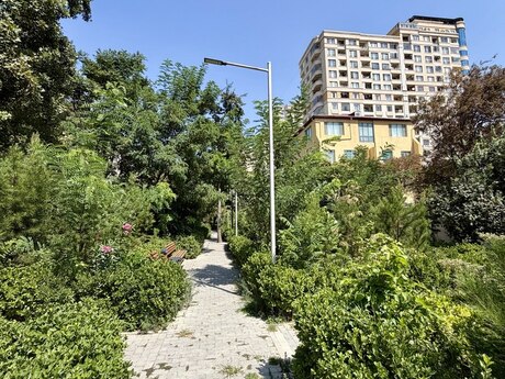 2-комнатная квартира, 50 м², Dərnəgül: 138 000 ₼ 4