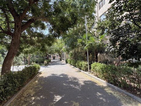 2-комнатная квартира, 50 м², Dərnəgül: 138 000 ₼ 3