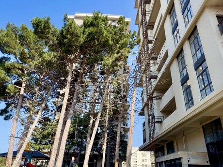 2 rooms · 72 m² · floor 6/17, Azadlıq Prospekti