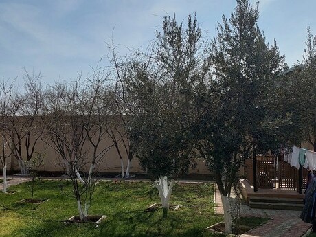7 otaqlı həyət evi, 310 m², Maştağa: 300 000 ₼ 3