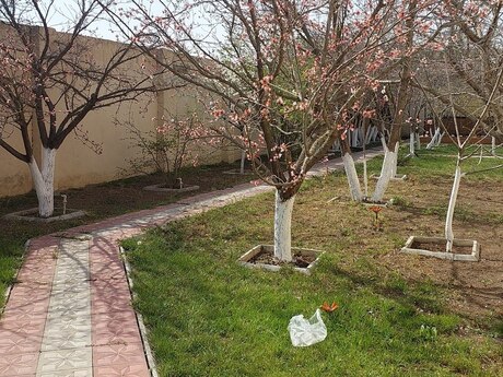 7 otaqlı həyət evi, 310 m², Maştağa: 300 000 ₼ 5