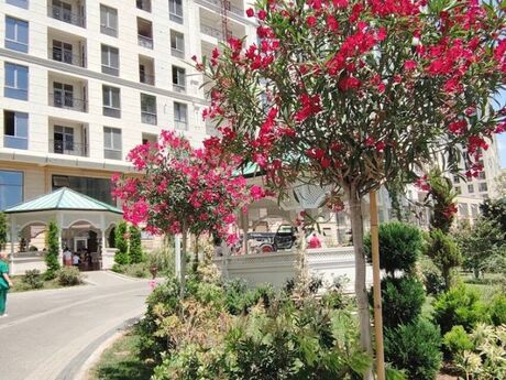4 otaqlı mənzil, 178 m², Zümrüd Residence: 538 000 ₼ 2