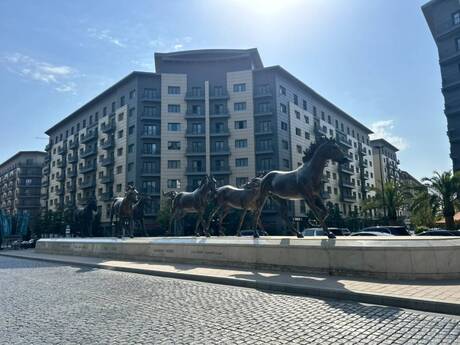 Elan №6411978 - Bakı, Ağ şəhər q., 3 otaqlı, 132 m², 7/8 mərtəbə