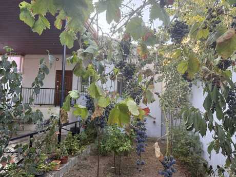 4 otaqlı həyət evi, 120 m², Ramana: 145 000 ₼ 5