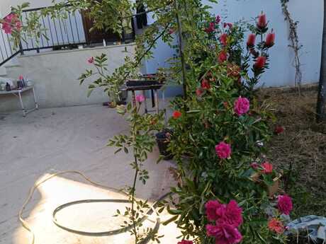 4 otaqlı həyət evi, 120 m², Ramana: 145 000 ₼ 2