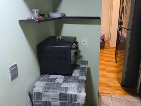1-room apartment for rent, 25 m², İçəri Şəhər: 600 ₼/mo 3