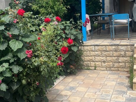 4 otaqlı həyət evi, 110 m², Digah: 110 000 ₼ 5