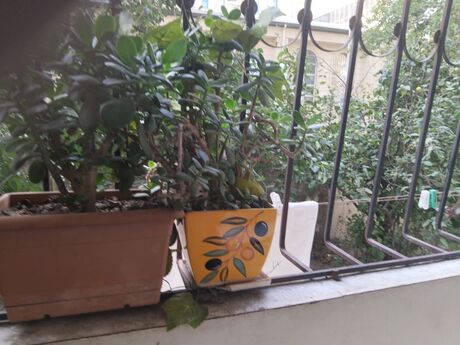 3-room apartment, 90 m², Şah İsmayıl Xətai: 265 000 ₼ 4