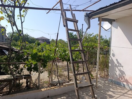 5 otaqlı həyət evi, 120 m², Novxanı: 80 000 ₼ 5