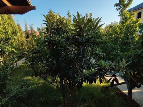 2 otaqlı həyət evi, 120 m², Buzovna: 390 000 ₼ 3
