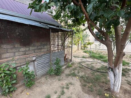 4 otaqlı həyət evi, 160 m², Saray: 177 000 ₼ 4