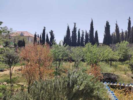 2 otaqlı həyət evi, 22 m², Abşeron: 105 000 ₼ 2