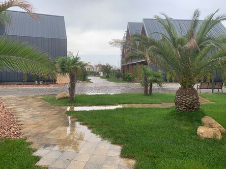 2-room apartment for rent, 100 m², Sea Breeze: 230 ₼/mo 5