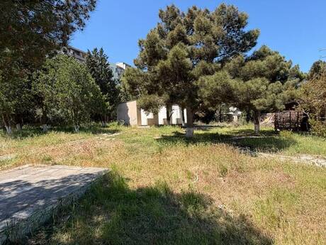 Elan №6414520 - Bakı, Həzi Aslanov m., 32 sot