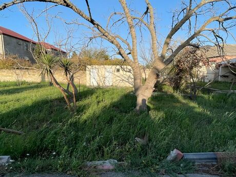 3 otaqlı həyət evi, 85 m², Novxanı: 114 900 ₼ 3