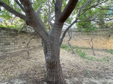 3 otaqlı həyət evi, 85 m², Novxanı: 114 900 ₼ 5