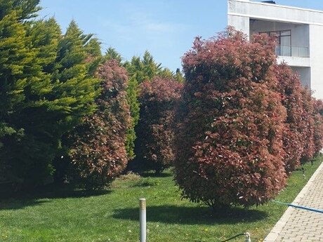 7 otaqlı həyət evi, 500 m², Mərdəkan: 1 200 000 ₼ 4