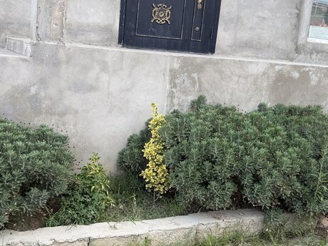 4 otaqlı həyət evi, 110 m², Hövsan: 130 000 ₼ 3