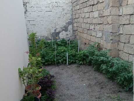 3 otaqlı həyət evi, 60 m², Binəqədi: 55 000 ₼ 5