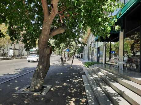 Elan №6415448 - Bakı, Böyükşor q., 600 m²