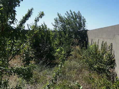 4 otaqlı həyət evi, 180 m², Nardaran: 129 000 ₼ 2