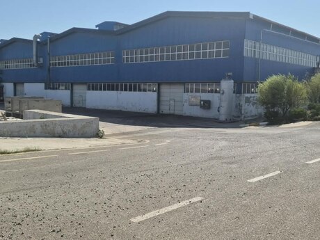 Объявление №6416546 - Баку, пос. Зых, 10000 м²