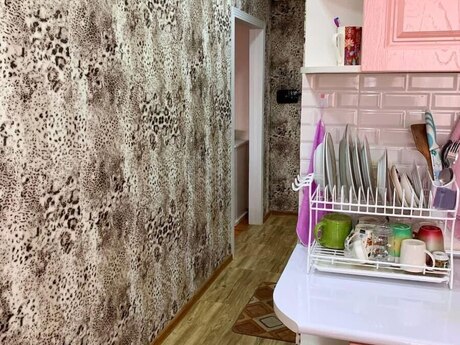 Kirayə 2 otaqlı mənzil, 65 m², İçəri Şəhər: 750 ₼/ay 4