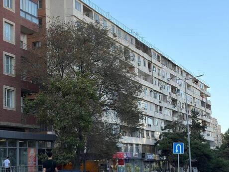 Объявление №6416797 - Баку, м. Мемар Аджеми, 3-комн., 80 м², 9/9 этаж