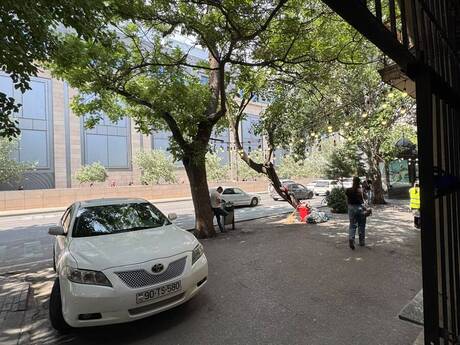 Elan №6416981 - Bakı, 28 May m., 100 m²