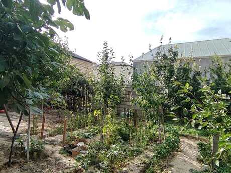 Elan №6417477 - Bakı, Masazır q., 3 otaqlı, 80 m²