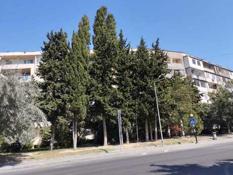5 Həzi Aslanov