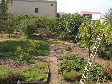 7 otaqlı həyət evi, 250 m², Albalılıq: 410 000 ₼ 4