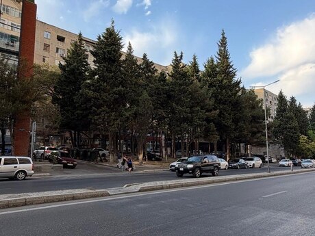 3 rooms · 73 m² · floor 6/9, 9-cu mikrorayon