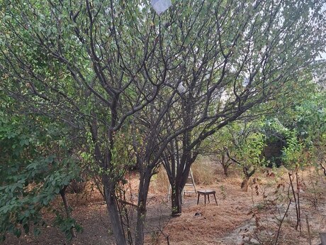 4 otaqlı həyət evi, 300 m², Saray: 190 000 ₼ 4