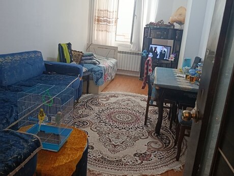 2 otaq · 46 m² · 8/17 mərtəbə, Həzi Aslanov