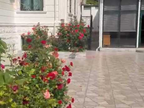 Elan №6420532 - Bakı, Nəsimi m., 15 otaqlı, 700 m²