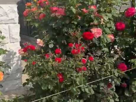 15 otaqlı həyət evi, 700 m², Nəsimi: 1 700 000 ₼ 4