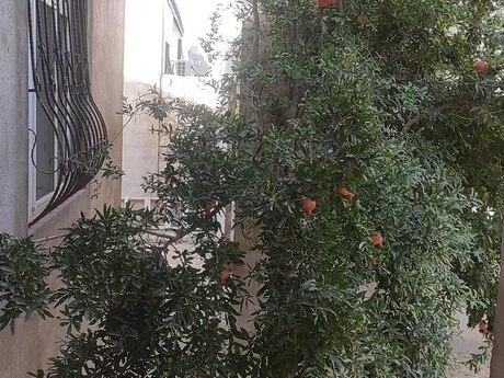 3 otaqlı həyət evi, 100 m², Binə: 69 000 ₼ 2