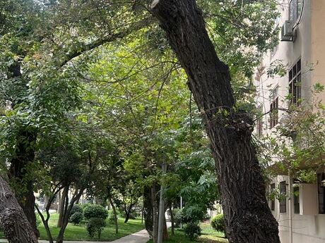 3 otaqlı mənzil, 80 m², Nərimanov: 245 000 ₼ 5