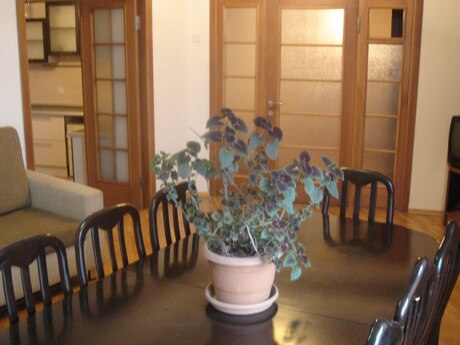 4 otaqlı mənzil, 96 m², Gənclik: 245 000 ₼ 4