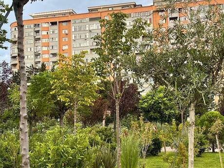 Аренда: 2-комнатная квартира, 90 м², 20 Yanvar: 700 ₼/мес 5