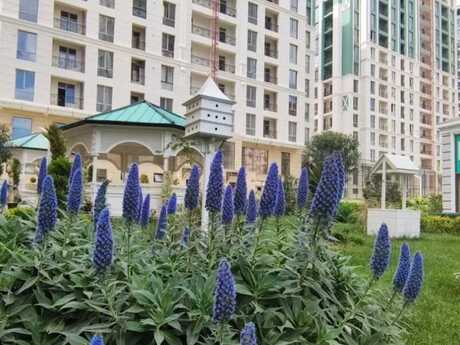 3 rooms · 100 m² · floor 17/18, Gənclik