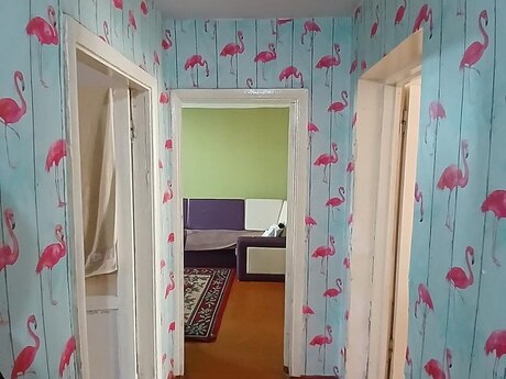 3 otaqlı mənzil, 61 m², Nəsimi: 220 000 ₼ 4