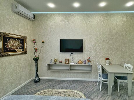 Kirayə 1 otaqlı mənzil, 58 m², Nərimanov: 40 ₼/ay 5