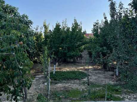 7 otaqlı həyət evi, 360 m², Mərdəkan: 300 000 ₼ 3