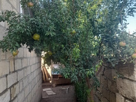 4 otaqlı həyət evi, 95 m², Biləcəri: 165 000 ₼ 4